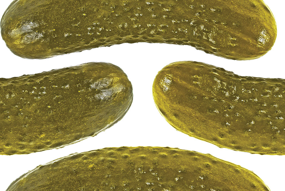 The Marveling Story Behind The Bread And Butter Pickle Sandwich Forsyth Woman Magazine The Marveling Story Behind The Bread And Butter Pickle Sandwich Forsyth Woman Magazine